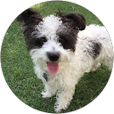 Barbara profile picture